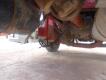 2005 Peterbilt 385 Truck Tractor - 23