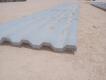 Bundle of 20' 6" 24 Gauge Sheets Metal 21 per Bundle +/- - 4