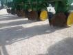 John Deere 7300 Planter - 12