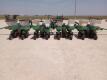 Deutz-Allis Pull Behind Planter - 4