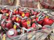 Pallet of Misc Fire Extinguishers - 5