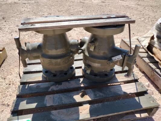 (2) Unused WKM 4-600 Valves