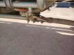 2015 Gallegos Pneumatic Trailer - 17