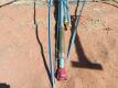8 Ft Diameter Aermotor - 16