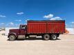 International Grain Truck - 2