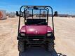 Kawasaki Mule - 8