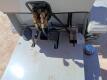 Unused 2024 Fland FL45 Mini Wheel Loader - 25