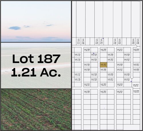 Lot 187 - Tribe Estates