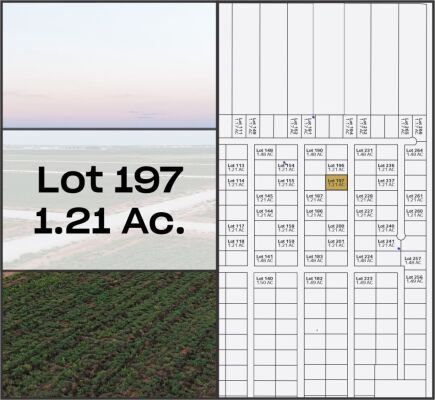 Lot 197 - Tribe Estates