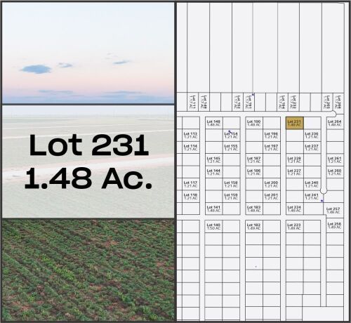 Lot 231 - Tribe Estates