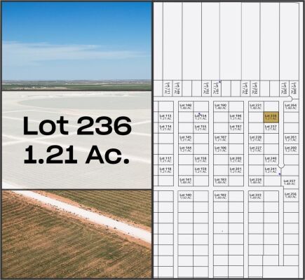 Lot 236 - Tribe Estates