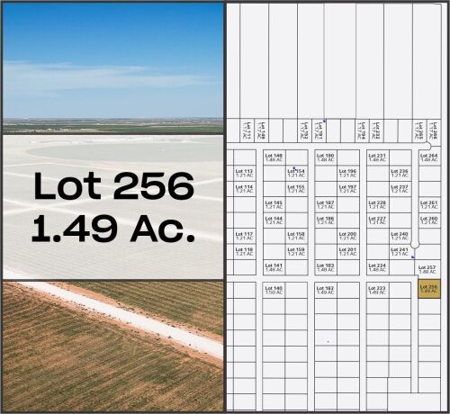 Lot 256 - Tribe Estates