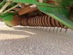 John Deere 567 Round Baler - 12