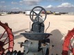 McCormick-Deering Farmall F-12 Tractor - 17