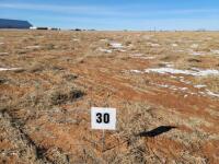 1.21 +/- Acre Residential Lot shown as Lot 30 on the plat.