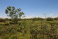 Track 43 - K - Bar Prarie Trail - 5