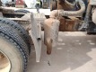 2007 International 9200i Truck Tractor - 24