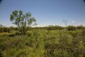Track 35 - K - Bar Prarie Trail - 13