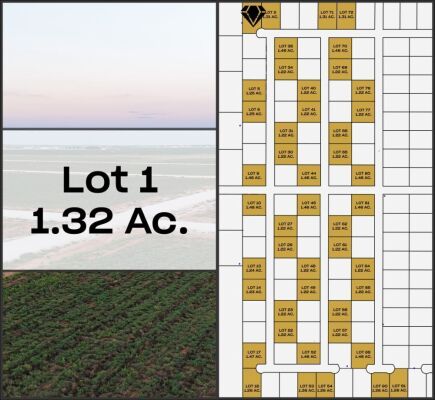Lot 1 - Tribe Estates