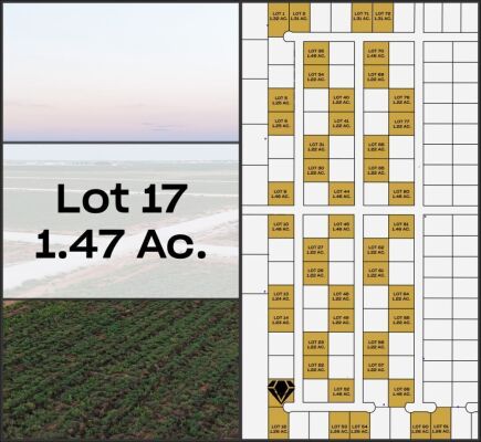 Lot 17 - Tribe Estates