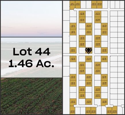 Lot 44 - Tribe Estates