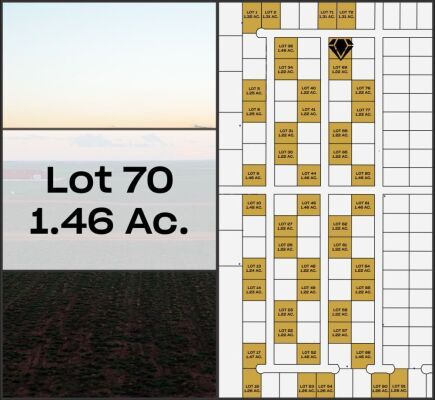 Lot 70 - Tribe Estates