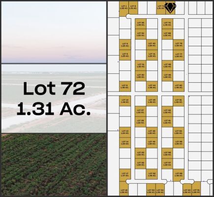 Lot 72 - Tribe Estates