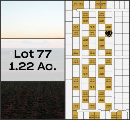 Lot 77 - Tribe Estates