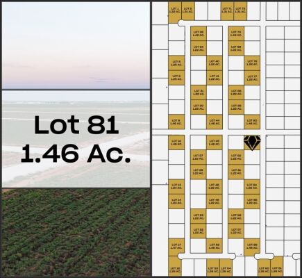 Lot 81 - Tribe Estates