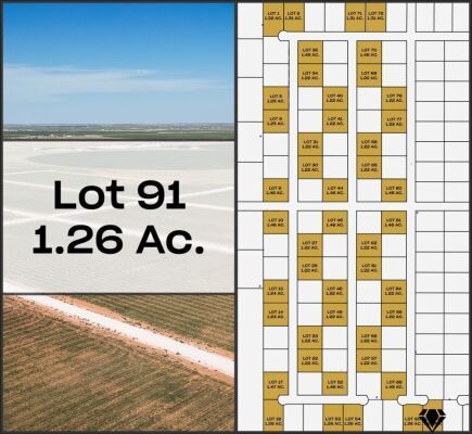 Lot 91 - Tribe Estates