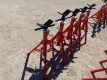 (5) Unused Folding Pipe Stands - 3
