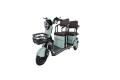Unused 2024 IR IRGC40 Mini Golf Cart
