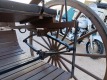 Horse Drawn Carriage - 14