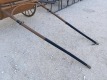 Horse Drawn Carriage - 18