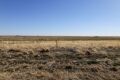Lot 10 - Diamond Hill Estates - 4