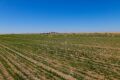 Lot 14 - Diamond Hill Estates - 8