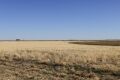 Lot 15 - Diamond Hill Estates - 10