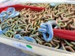(5) Unused Chery Ratchet Binders and (10) 3/8'' 20ft Chains - 6