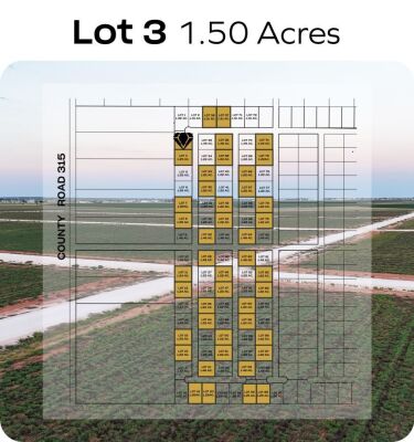 Lot 3 - Tribe Estates