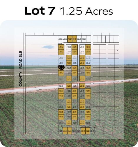 Lot 7 - Tribe Estates