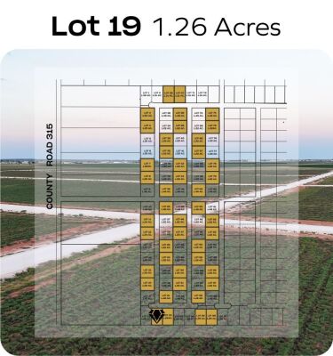 Lot 19 - Tribe Estates