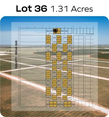 Lot 36 - Tribe Estates