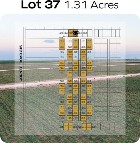 Lot 37 - Tribe Estates