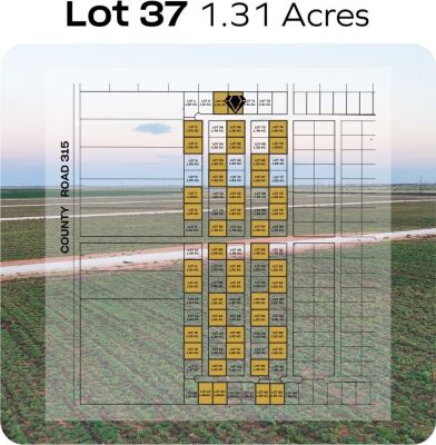 Lot 37 - Tribe Estates