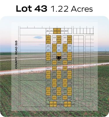 Lot 43 - Tribe Estates