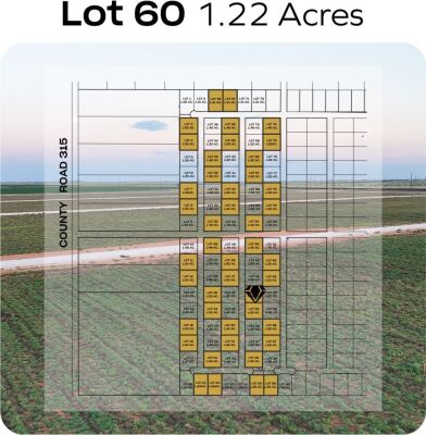 Lot 60 - Tribe Estates