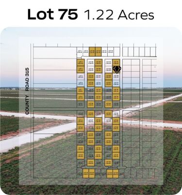 Lot 75 - Tribe Estates