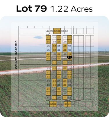 Lot 79 - Tribe Estates