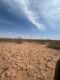 16.2 Ac. Caliche Pit Plains Tx - 31
