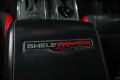 2017 Ford Shelby Baja Raptor - 31